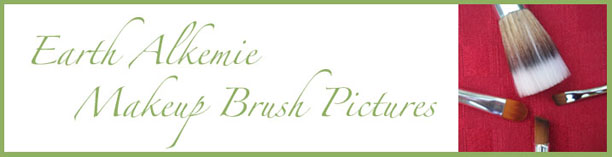 Earth Alkemie Brush Pictures